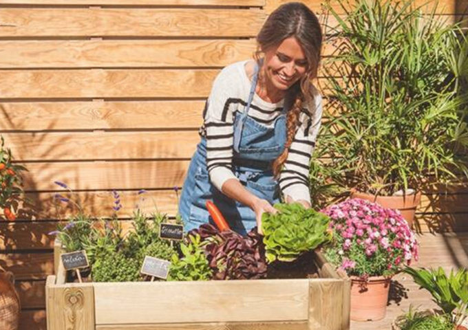 Huerto urbano en terraza, aprovecha la luz del sol para sembrar