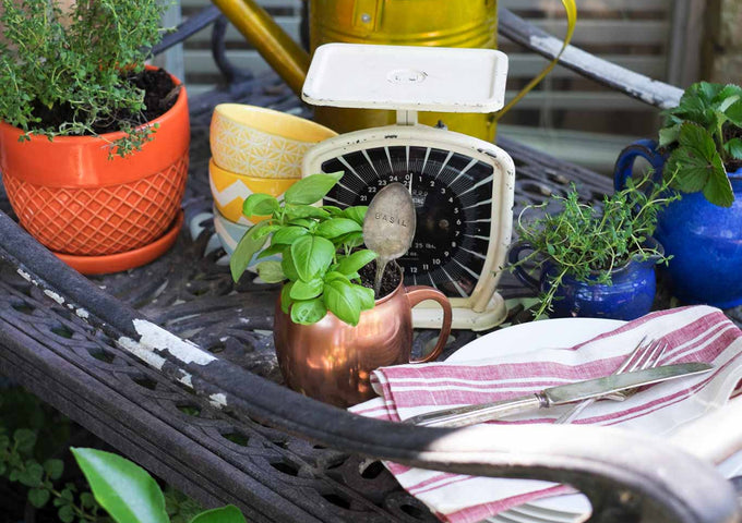 Maceta de Jardinería Inspirada en la Cocina para Espacios Pequeños