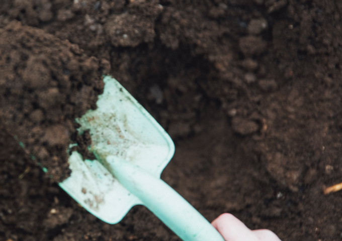 Beneficios del humus de lombriz en nuestro huerto o jardín