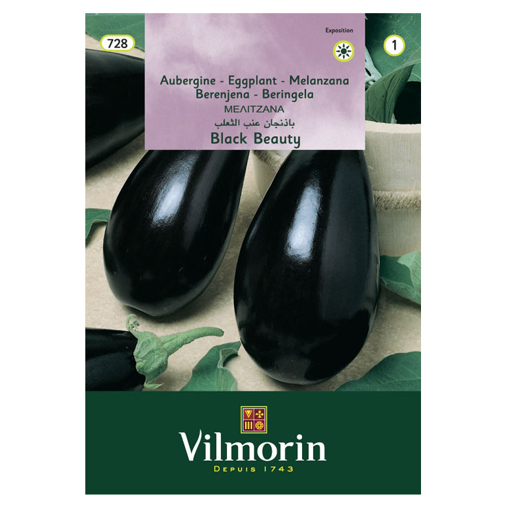 En esta imagen se ve un envase de semillas de Berenjena Black Beauty, la marca es Vilmorin. El sobre contiene una foto donde se ven 3 berenjenas.