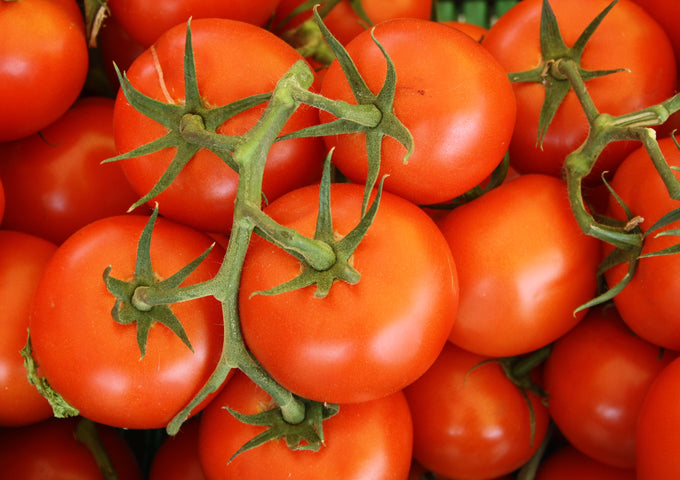 Como Cultivar los Tomates Perfectos