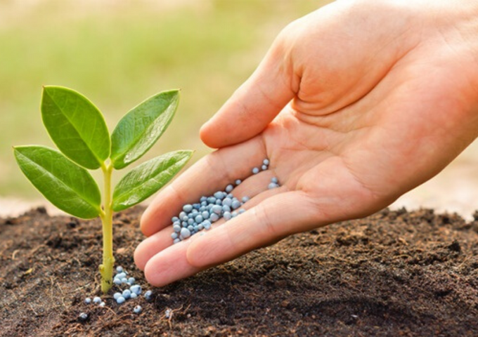 Fertilización: 25 Consejos de abonado y fertilización