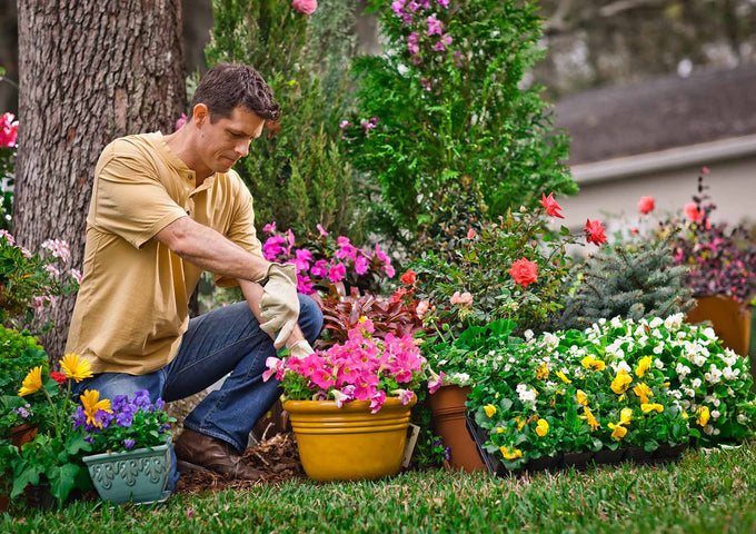 Siete Regalos Increíbles para tu Papá Jardinero