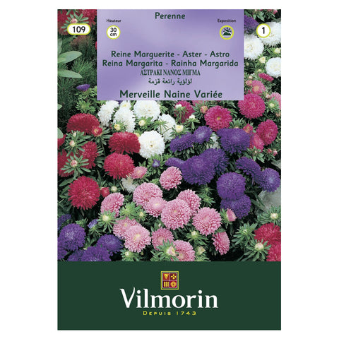 En esta imagen se ve un sobre de semillas Reina Luisa Enana de variados colores. Marca Vilmorin. En la foto del empaque aparecen muchas flores Reina Luisa Enana de tonos morado, violeta, rosado y blanco.