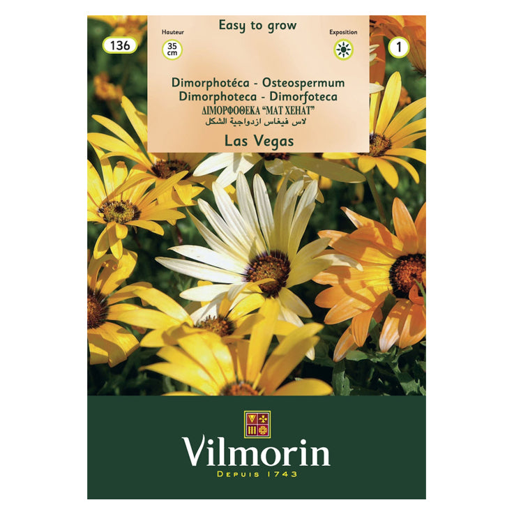 En esta imagen se ve un sobre de flores tipo Gazania. La marca es Vilmorin y en la foto del sobre aparecen Gazanias en tonos amarillos y blancos.