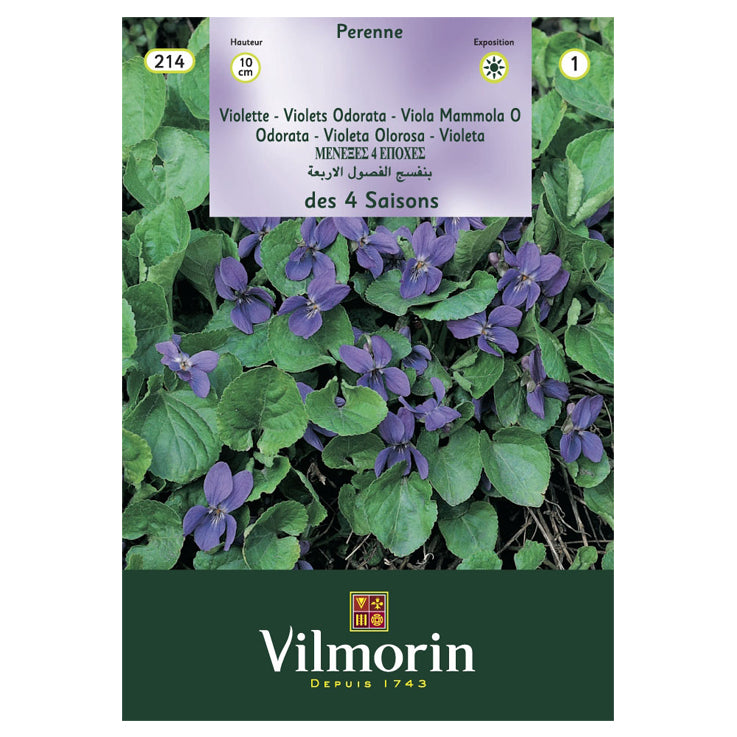 En esta imagen aparece un sobre de semillas de Violeta. La marca del sobre es Vilmorin. En la foto del envase aparece una planta de flor violeta con varias flores de tonos morados.