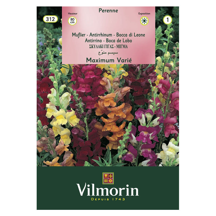 En esta imagen se ve un sobre de semillas de Boca de Lobo marca Vilmorin. En la foto del sobre se ve una gran variedad de colores de la flor.