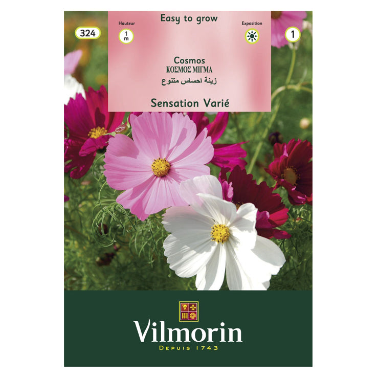 En esta foto aparece un sobre de semillas de cosmos de variedad de colores marca Vilmorin. En la foto del envase aparecen cosmos de color rosado, violeta y blanco.
