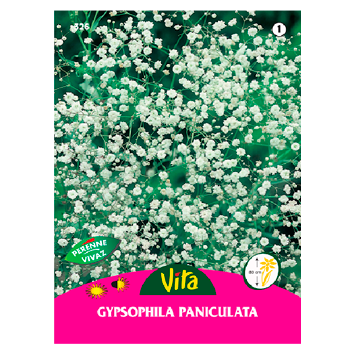 Semillas Gipsofila Paniculata Blanca