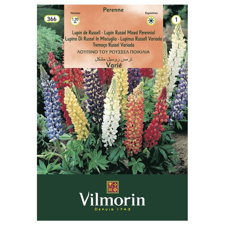 En esta imagen se ve un sobre de semillas de Lupino de variedad de colores. La marca es vilmorin y en la foto del envase se ven flores lupinos de colores morado, violeta, rojo, naranja, amarillo, entre otros.