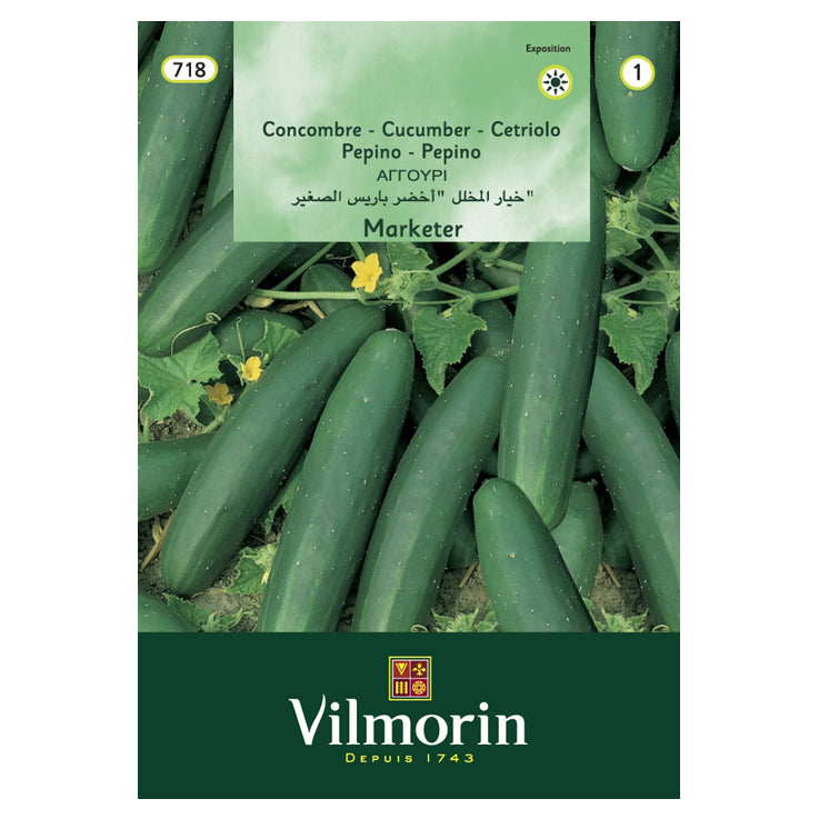 En esta imagen se ve un sobre de semillas de pepino marketer. La marca de este producto es Vilmorin. En la imagen del envase se ven varios pepinos.