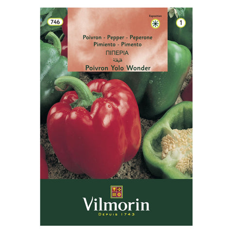 En esta imagen se ve un sobre de semillas de Pimentón Californ Wonder. La marca es Vilmorin. El envase tiene una foto donde aparecen pimentones verdes de fondo y uno rojo como principal.