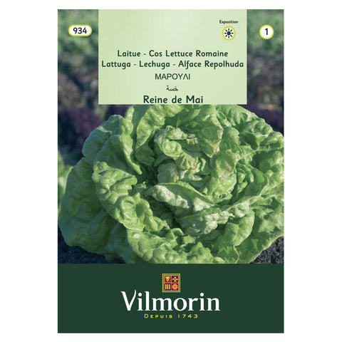 En esta imagen se ve un paquete de semillas de Lechuga española marca Vilmorin. En el sobre aparece una foto que muestra una lechuga.
