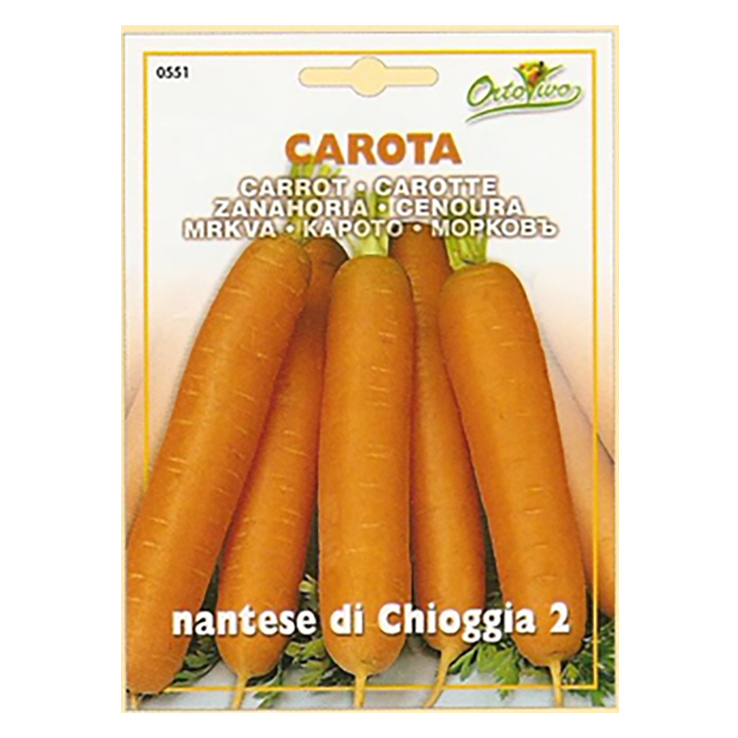 En esta imagen se ve un sobre de semillas de Zanahoria Nantesca. La marca es ortovivo y en la imagen del paquete se ven cinco zanahorias.
