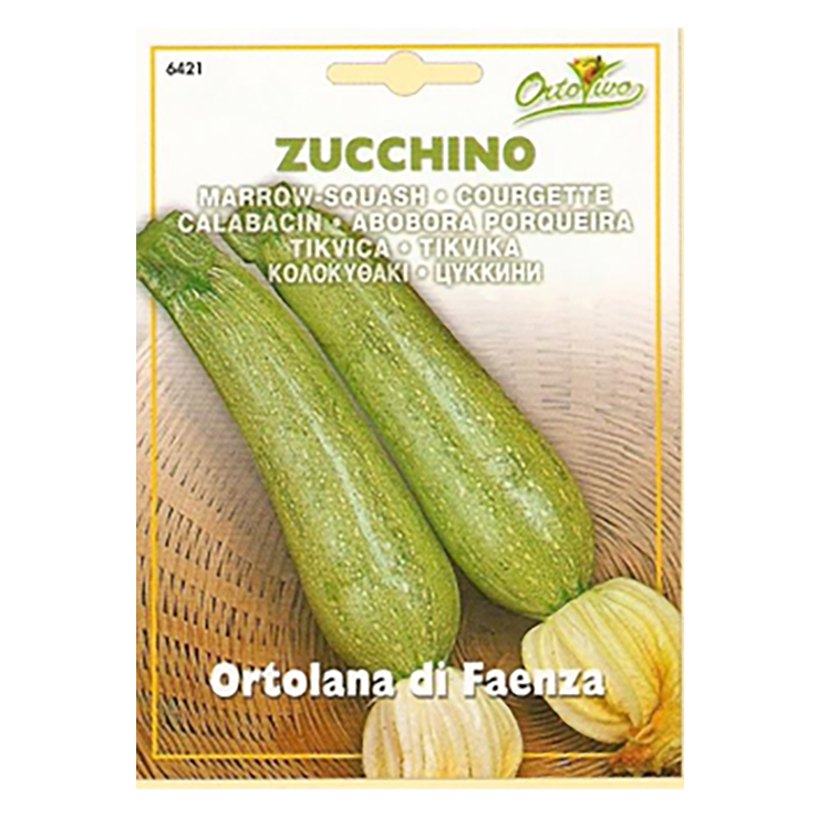 En esta imagen se ve un envase de semillas de Zapallo Italiano marca Ortovivo. En la foto del sobre se ven dos zapallos.