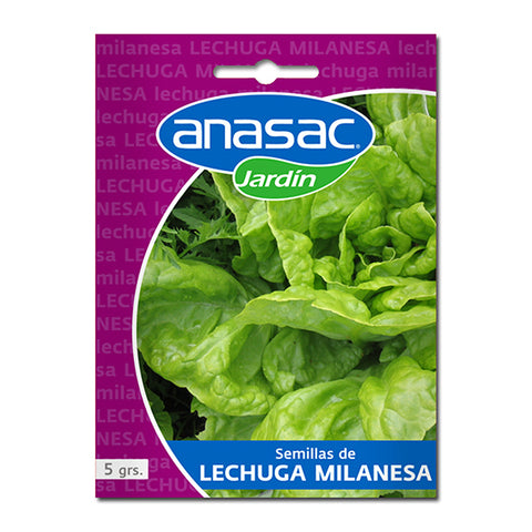 En esta imagen se ve un sobre de semillas de Lechuga Milanesa, contiene 5 gramos y es de marca Anasac Jardín. En la imagen del envoltorio se ven hojas de lechuga.